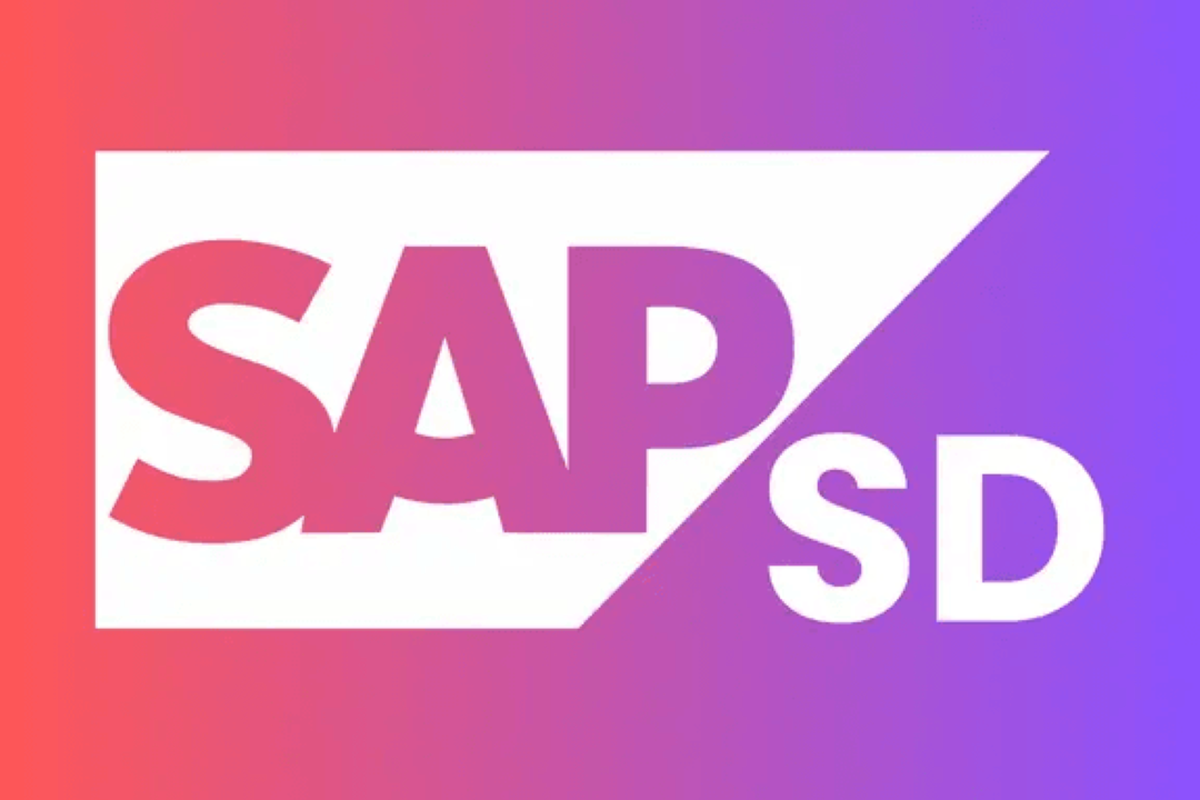 SAP Course